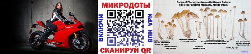 где продают   Канаш  Галлюциногенные грибы MAGIC MUSHROOMS 