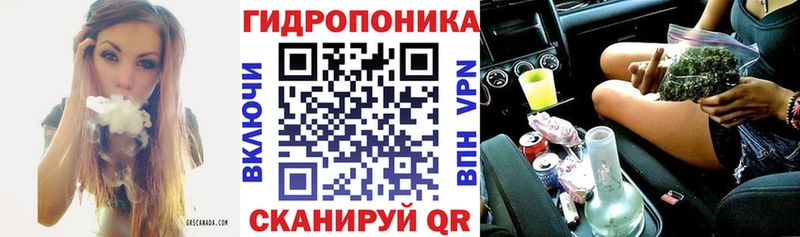 Канабис OG Kush  darknet какой сайт  Канаш 